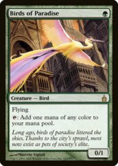 Birds of Paradise - Foil